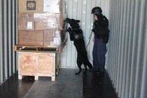 Autoridad Marítima de Punta Arenas controló proceso de desconsolidado de carga peligrosa junto a binomio canino