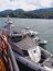Armada de Chile activa búsqueda de Personal Marítimo tras hundimiento de catamarán en Estuario Reloncaví.