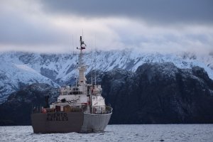 Armada de Chile activó operativo de búsqueda y salvamento marítimo en cercano a Faro “Islotes Evangelistas”