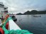 Logran recuperar cuerpo sin vida de buzo tras siniestro de catamarán en el Estuario Reloncaví