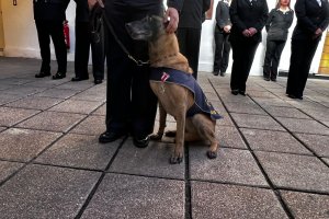 Dotación de la Capitanía de Puerto de Quellón despide a can antidroga “Vania”
