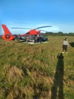 Armada de Chile realiza operativo SAR por avioneta que capotó en Isla Mocha Armada de Chile realiza operativo SAR por avioneta que capotó en Isla Mocha