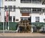 Batallón de Infantes de Marina “Aldea” presentó saludos protocolares por el 96° aniversario de Carabineros