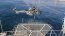 Armada de Chile pone a prueba sus capacidades en ejercicio internacional conjunto y combinado Fused Response 2023