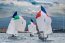 Escuela Naval “Arturo Prat” obtiene destacada participación en Regata Internacional de “Academias Navales” en Italia