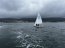 Escuela Naval “Arturo Prat” participó en regata internacional realizada en la bahía de Marín