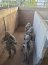 Cadetes Infantes de Marina realizaron periodo de práctico en campo de entrenamiento