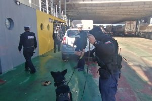 Autoridad Marítima desplegó operativo preventivo en Primera Angostura con binomio canino