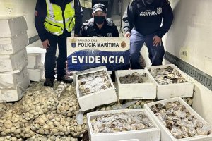 En patrullaje conjunto incautan 165 kilos de recurso "loco" en Chacao En patrullaje conjunto incautan 165 kilos de recurso "loco" en Chacao