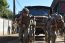 Batallón n° 31 organizó carrera militar “Sargento Aldea” en conmemoración de los 205 años de la Infantería de Marina
