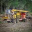  Operativo interagencial de Jedena Biobío desmanteló faena ilegal de madera en Fundo Lanalhue  