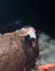 Personal de la Capitanía de Puerto de Patache rescató a hombre que cayó al mar durante la madrugada