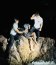Personal de la Capitanía de Puerto de Patache rescató a hombre que cayó al mar durante la madrugada