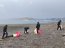 Jornada de limpieza de playa Pichipelluco superó los 500 kilos de desechos
