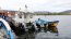 Operativo cívico permitió a pescadores artesanales de Tirúa realizar diversos trámites marítimos
