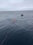 Lancha de Servicio General “Caldera” se desplegó en apoyo al Servicio Hidrográfico y Oceanográfico de la Armada