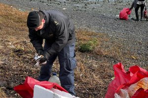 Voluntarios reúnen 1.350 kilos de basura en nueva jornada de limpieza de playas del Plan Tenglo Voluntarios reúnen 1.350 kilos de basura en nueva jornada de limpieza de playas del Plan Tenglo
