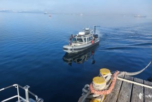 Profesionales del SHOA instalaron una nueva estación de nivel del mar en Puerto Natales