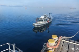 Profesionales del SHOA instalaron una nueva estación de nivel del mar en Puerto Natales Profesionales del SHOA instalaron una nueva estación de nivel del mar en Puerto Natales