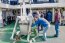 Crucero CIMAR 28 Islas Oceánicas realizará estudios sobre volcanismo oceánico y formación de montes submarinos