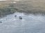 Capitanía de Puerto de Puerto Williams activó operativo ante hundimiento de lancha