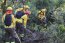 Base Naval Talcahuano inició proceso de reactivación operacional de la Brigada Forestal