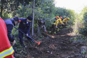 Base Naval Talcahuano inició proceso de reactivación operacional de la Brigada Forestal