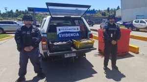 Policía Marítima de Coronel y Lota decomisó 1.200 kilos de recurso Jurel