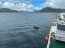AGS “Cabo de Hornos” concluye comisión científica en región de Magallanes y Antártica Chilena