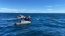  Armada desbarata organización criminal dedicada al robo de salmón en Chiloé  