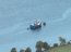 Armada desbarata organización criminal dedicada al robo de salmón en Chiloé