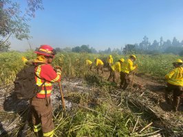 Armada presta apoyo en la contención del incendio que afecta a Limache