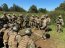 Grumetes Infantes de Marina efectúan periodo práctico con Unidades de la Brigada Anfibia