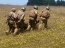 Grumetes Infantes de Marina efectúan periodo práctico con Unidades de la Brigada Anfibia