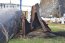 Museo Marítimo Nacional inicia acciones para restaurar cañón histórico dañado en accidente vehicular