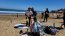 Fragata portuguesa: advierten a bañistas por posible presencia de la especie en las playas