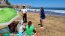 Fragata portuguesa: advierten a bañistas por posible presencia de la especie en las playas
