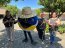Fiu, la mascota de los Juegos Panamericanos y Parapanamericanos 2023 visitó el Museo Cuna de Prat en Ninhue