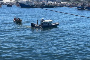 Autoridad Marítima de Coronel detiene a cuatro personas por robo de recurso loco en área de manejo