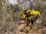 Personal de la Armada se despliega en apoyo a comunas afectadas por incendios