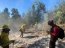 Brigada Forestal de la Armada apoya trabajos de CONAF en Provincia de Valparaíso