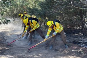 Brigada Forestal de la Armada apoya trabajos de CONAF en Provincia de Valparaíso