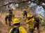 El trabajo de la Brigada Forestal de la Armada de Chile