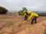 El trabajo de la Brigada Forestal de la Armada de Chile