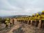 El trabajo de la Brigada Forestal de la Armada de Chile