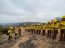  El trabajo de la Brigada Forestal de la Armada de Chile  