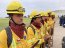 El trabajo de la Brigada Forestal de la Armada de Chile