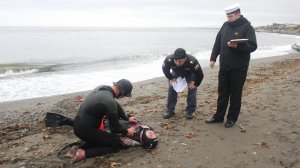 Autoridad Marítima de Punta Arenas realizó proceso de examinación de postulantes a salvavidas en el Estrecho de Magallanes Autoridad Marítima de Punta Arenas realizó proceso de examinación de postulantes a salvavidas en el Estrecho de Magallanes