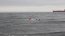 Autoridad Marítima de Punta Arenas realizó proceso de examinación de postulantes a salvavidas en el Estrecho de Magallanes