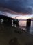 Armada realizó evacuación médica desde bahía Aldunate a Puerto Cisnes en la región de Aysén
